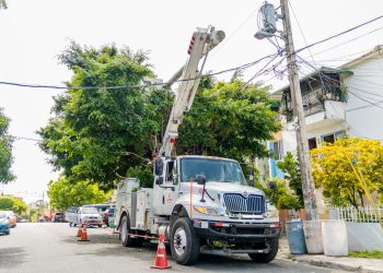 Edesur desarrollará este viernes una jornada de construcción de nuevas redes para interconexión de subestación Alfa 2