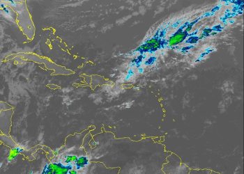 WhatsApp Image 2026 01 02 at 10.04.21 AM