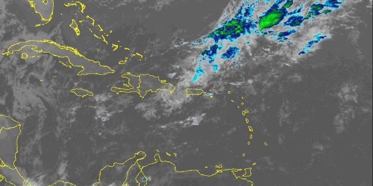 WhatsApp Image 2026 01 02 at 10.04.21 AM