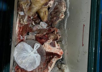 ba5d0e4f 4533 4902 ae36 d90395e897b8