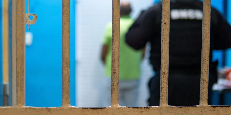 dominicano extraditado