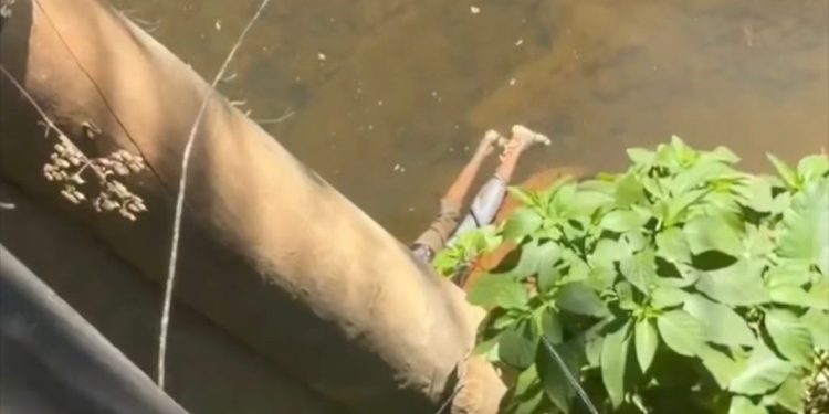 Cadaver en rio la Cuaba, peralvillo