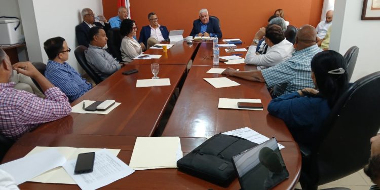 Anadegas en reunión