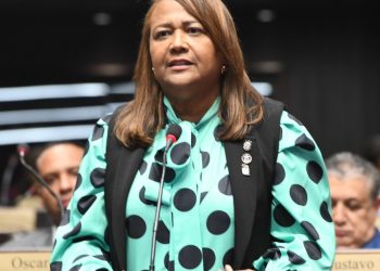 Diputada Doñe