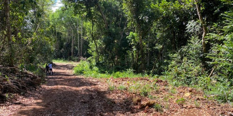 Loma Managuá Bayaguana