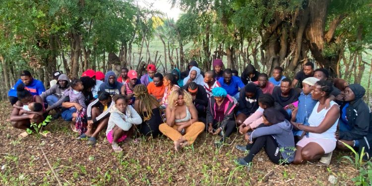 Ejercito frustra a 43