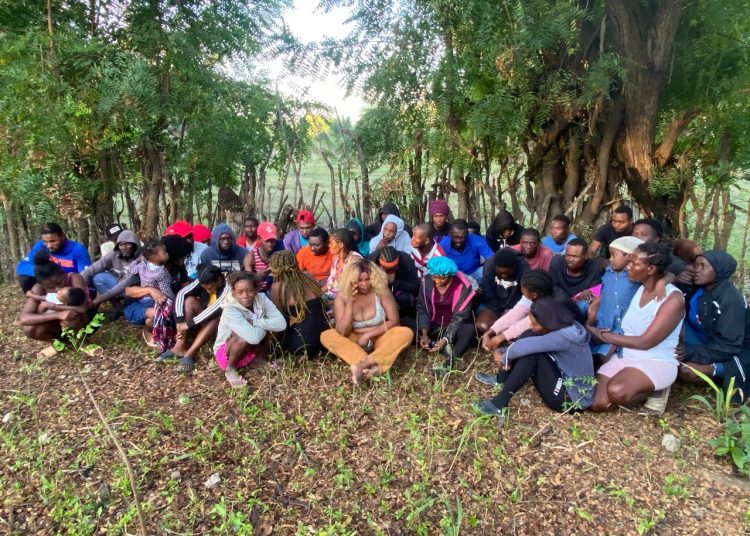 Ejercito frustra a 43