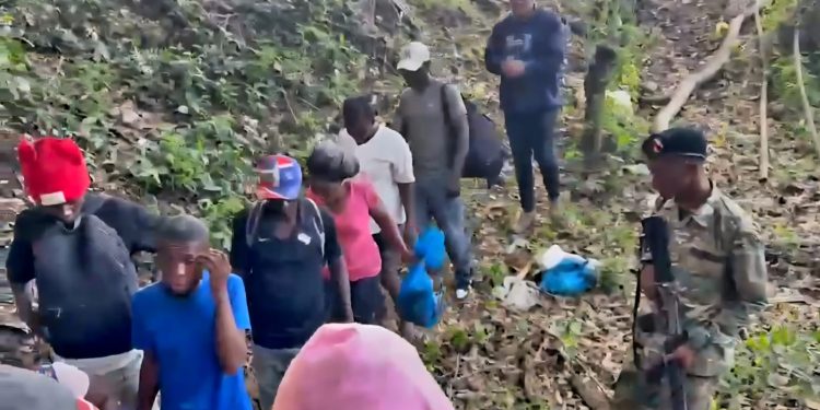 Haitianos