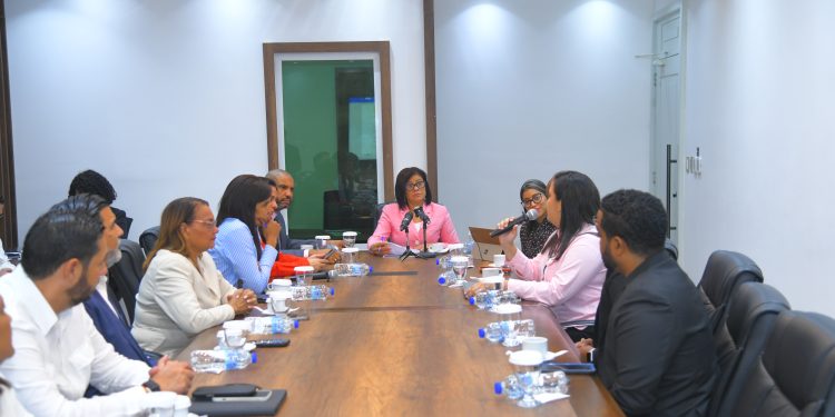 Legisladora Yuderka de la Rosa, presidenta de la Comisión de Especial de la Cámara de Diputados