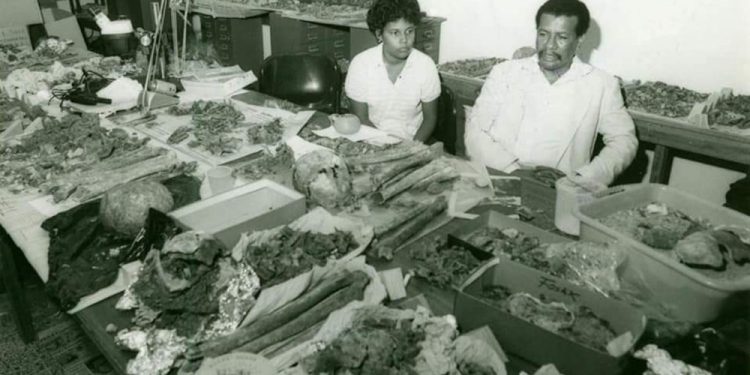 Clenis Tavárez María y Fernando Luna Calderon al momento de estudios y catalogación de las osamentas de los expedicionarios.