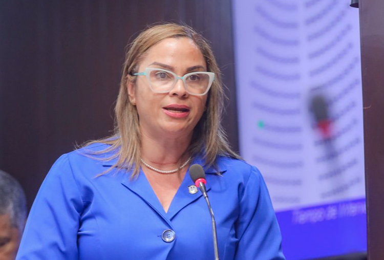 Diputada Lopez