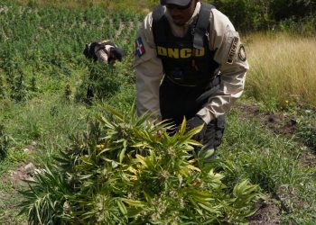 Marihuana