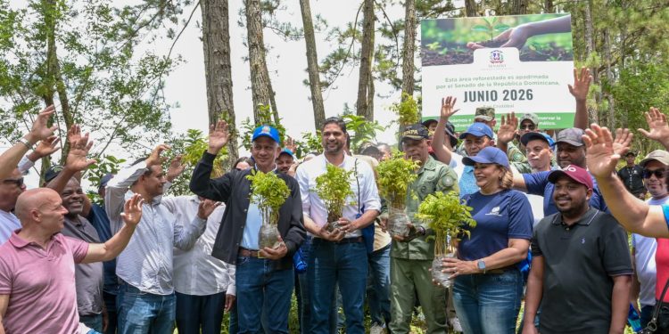 Senadores siembra de arboles