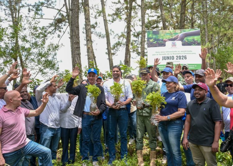 Senadores siembra de arboles