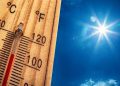calor
