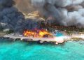 dominicus