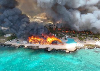dominicus