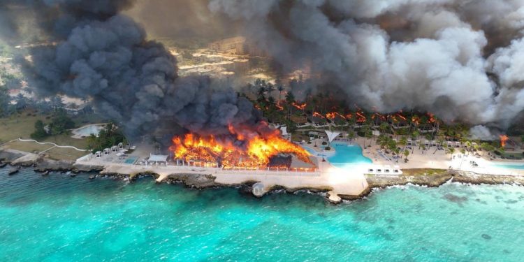 dominicus
