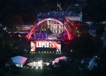 ufc pelea