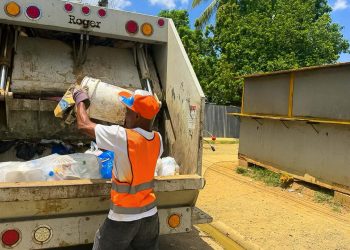 Eco limpieza