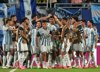 argenticna