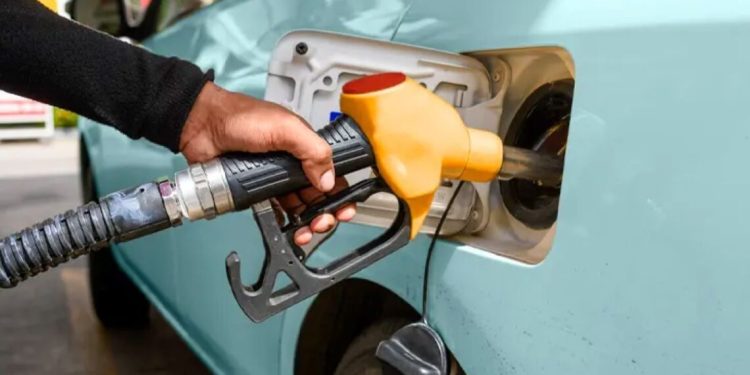 gasolina