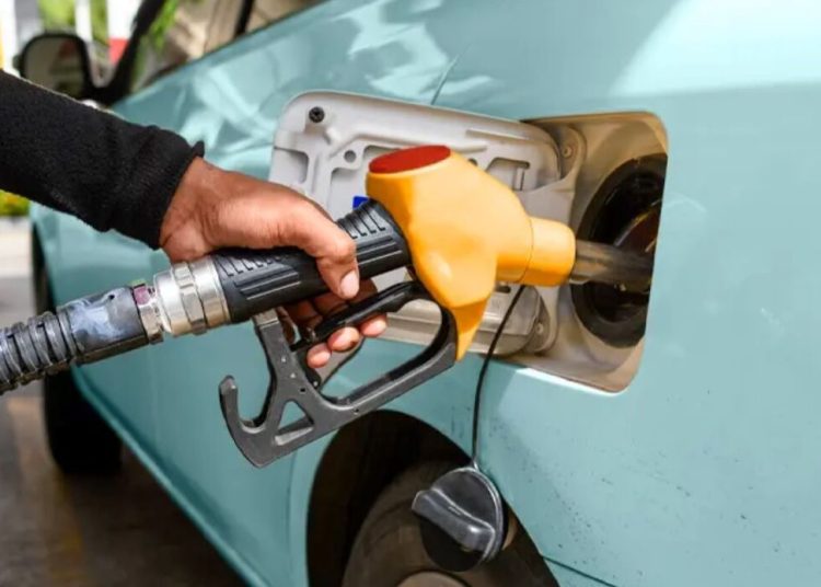 gasolina