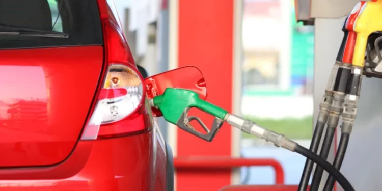 gasolinaa