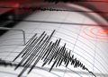 temblor