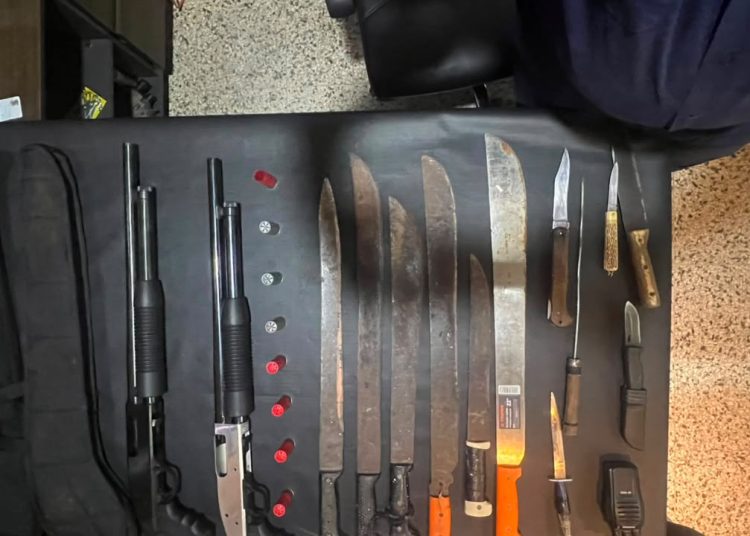 Armas de fuegos y blanca