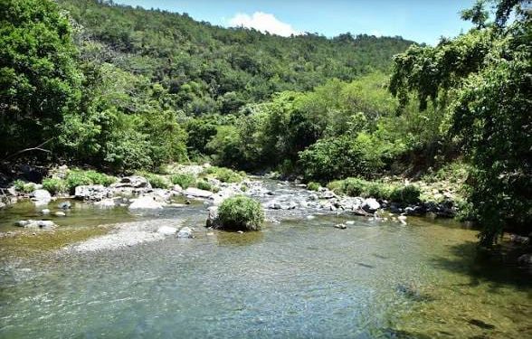Río Camu, La Vega