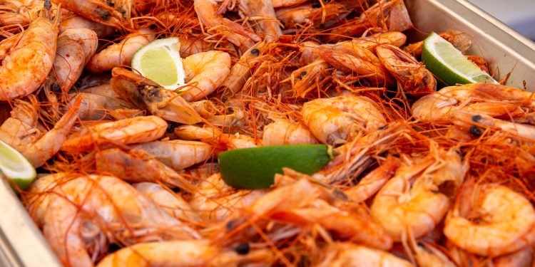 Turismo comida