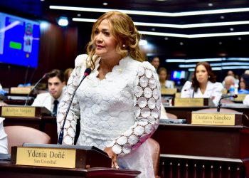 Ydenia Doñé diputada