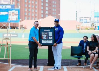 nelson cruz