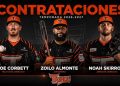 toros