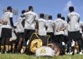 aguilas