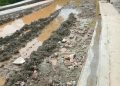 Calle primera