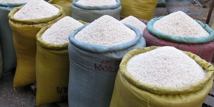 arroz
