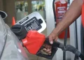 gasolina
