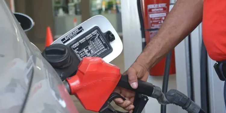 gasolina