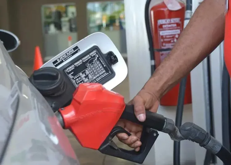 gasolina