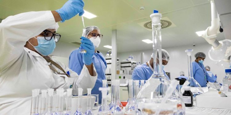 industria farmaceutica