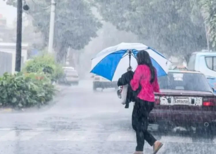 llluvia
