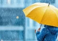 lluvias